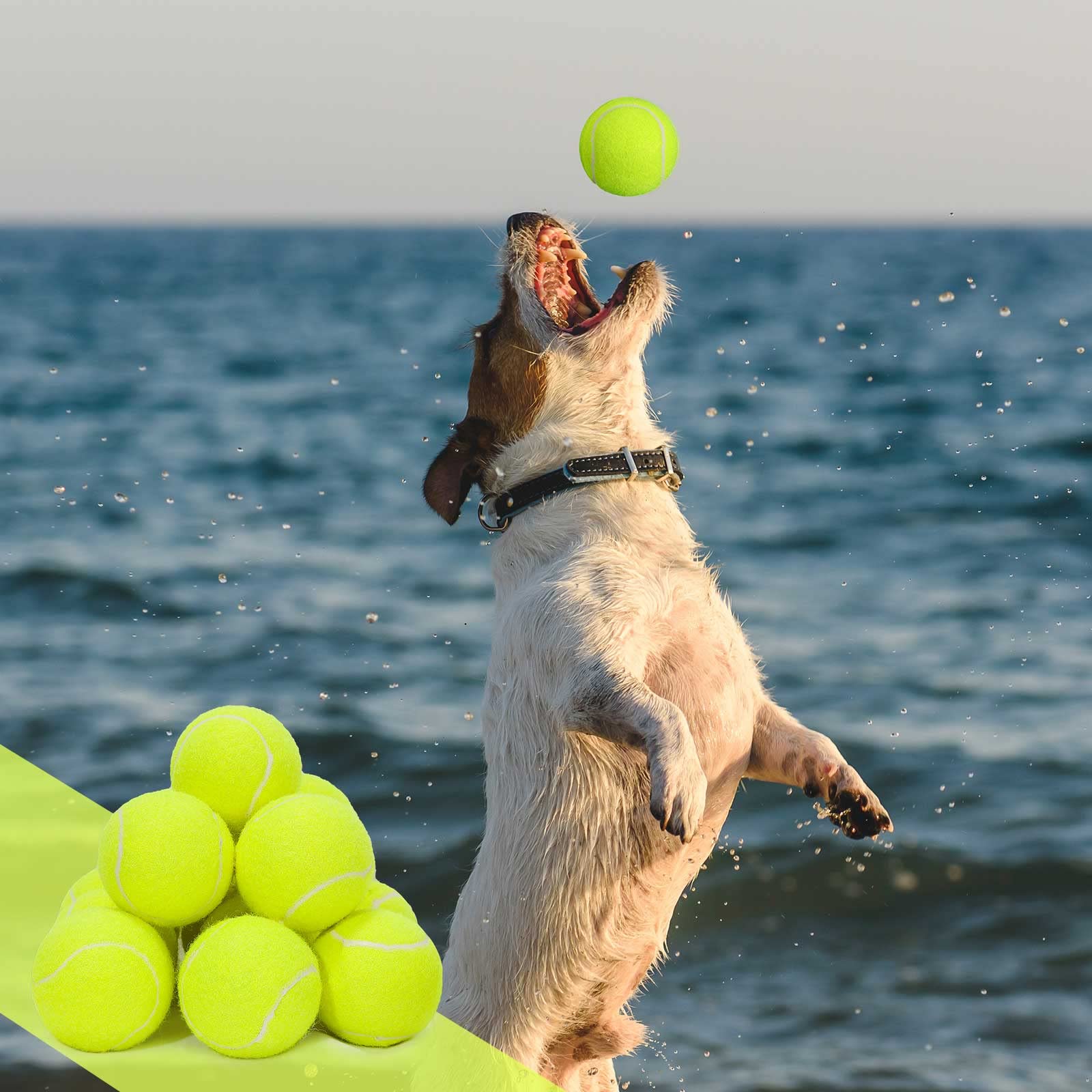 Lenwen balles tennis chien cadeau ideal pour activites a domicile