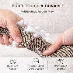 Leocfy texture-dent: surface texturée qui peut masser les gencives pendant le jeu
