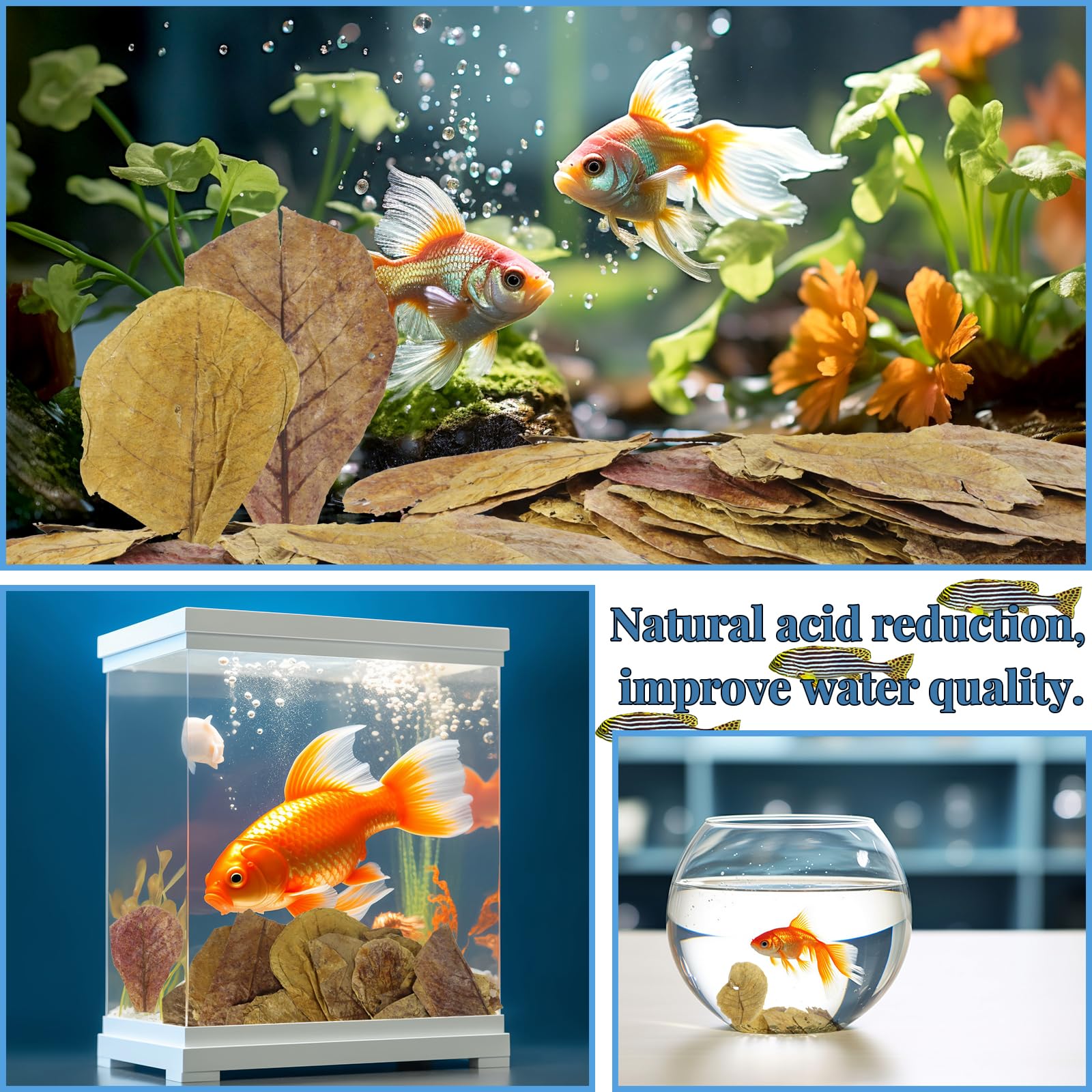 Décor naturel LeonBach Catappa pour l'aquarium.
