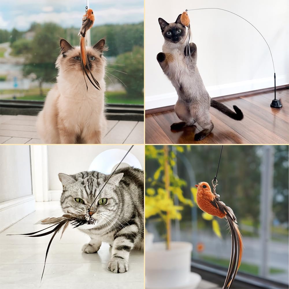 Leo's Paw – fil ondulant autour de l'oiseau pendant le jeu