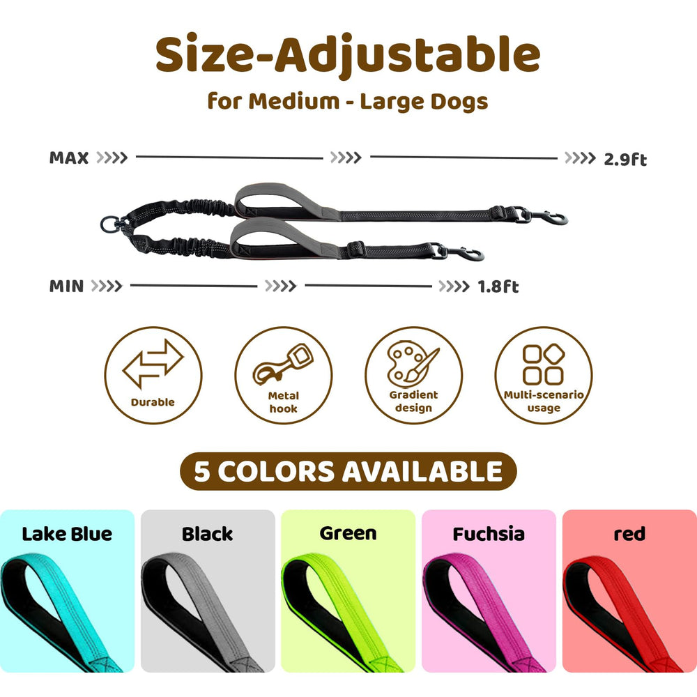 LEOSASA longe double-chien extensible – contrôle fluide pendant la marche