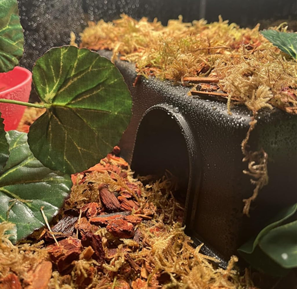 Leoterra cache-serpent entree optimise pour geckos et reptiles, facilite l'installation.