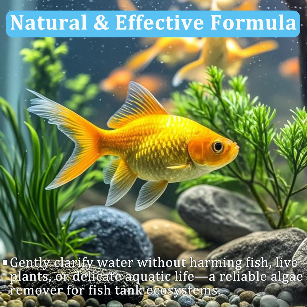 LeoTube tablettes-ingrédients-naturels pour eau plus nette et naturelle