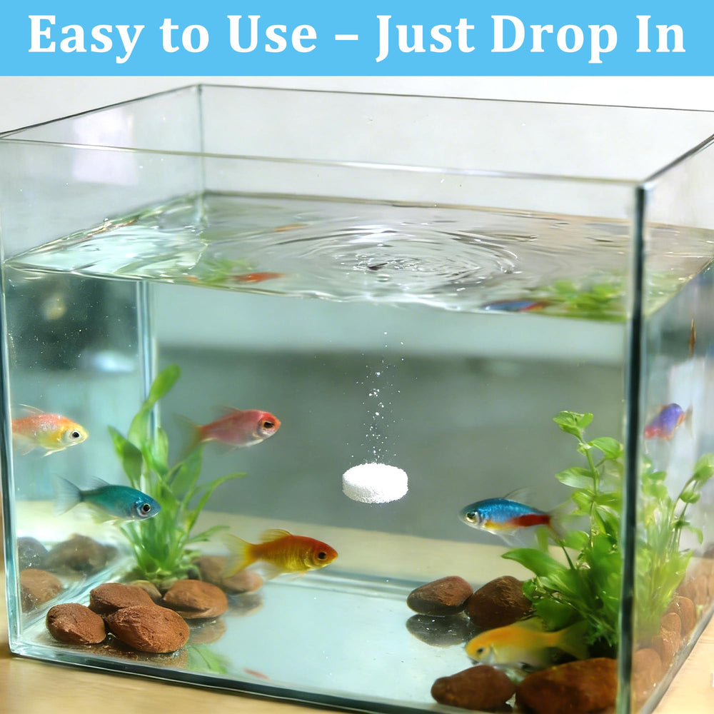 LeoTube tablettes-utilisation-simple verser directement dans l'eau