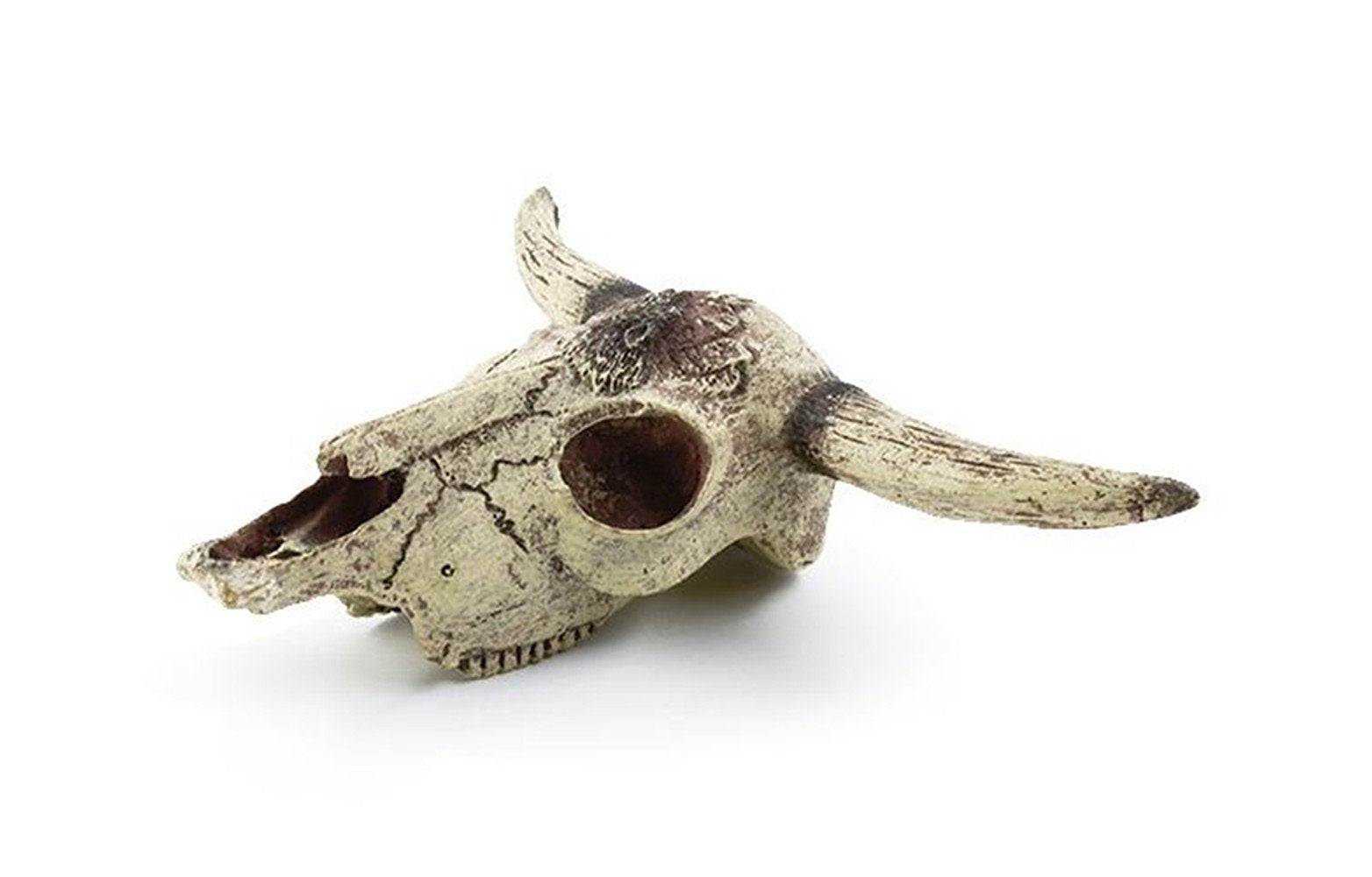 Leoyoubei crane-boeuf-aquarium-jardin-mineral: touche naturelle pour le paysage.