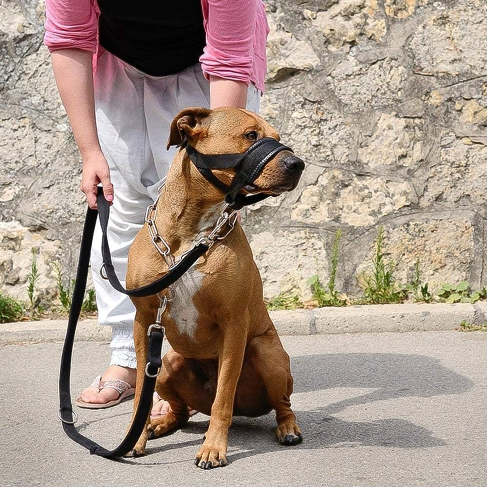 Utilisation vétérinaire avec la muselière Lepark nylon pratique et sûre
