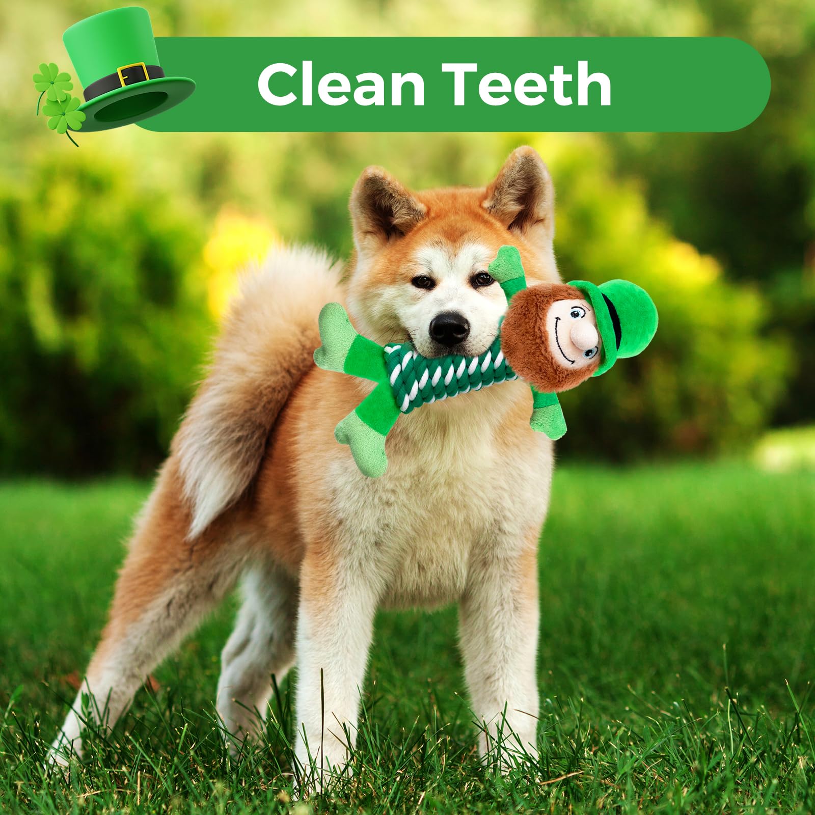 Jouet Lepawit interactivité avec sifflet pour attirer le chien.
