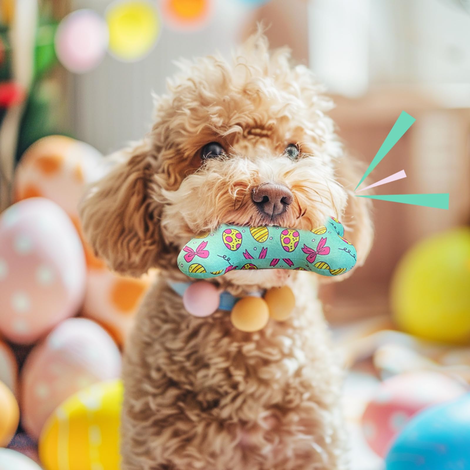 Ensemble Lepawit de jouets os-peluche-siffle: sessions variées et durables
