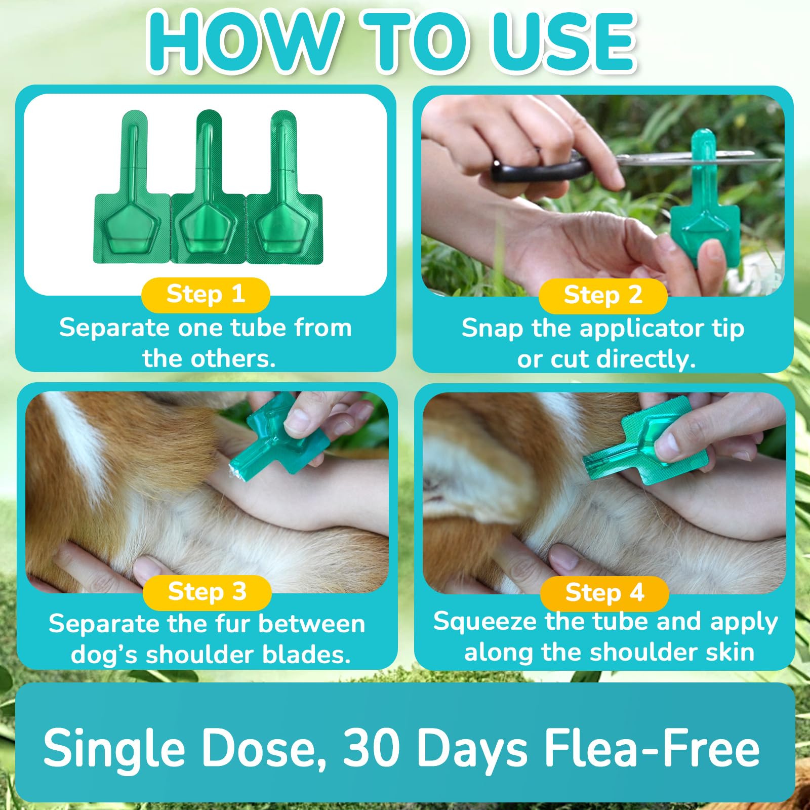 Formule vétérinaire Lerqua pour usage domestique sans visite.