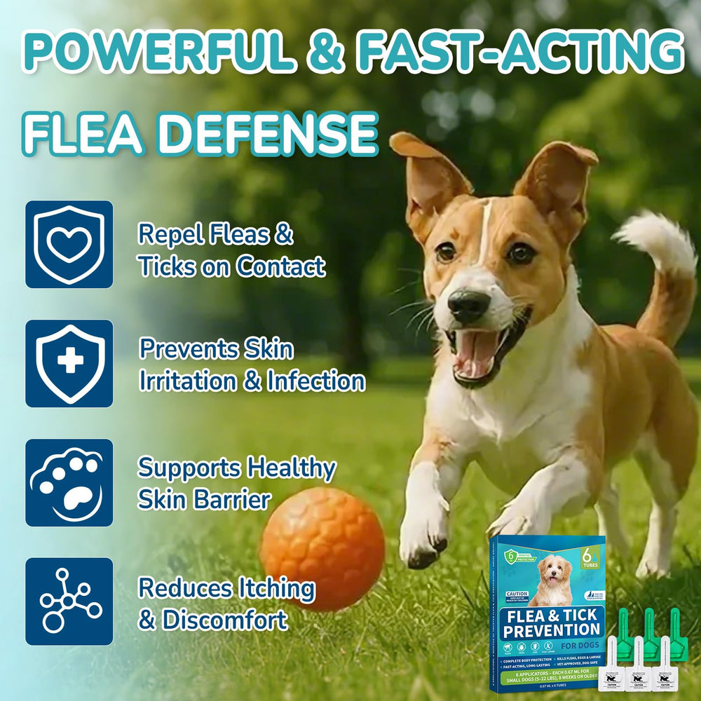 Lerqua kit six tubes pour chien petit prêt à l’emploi.