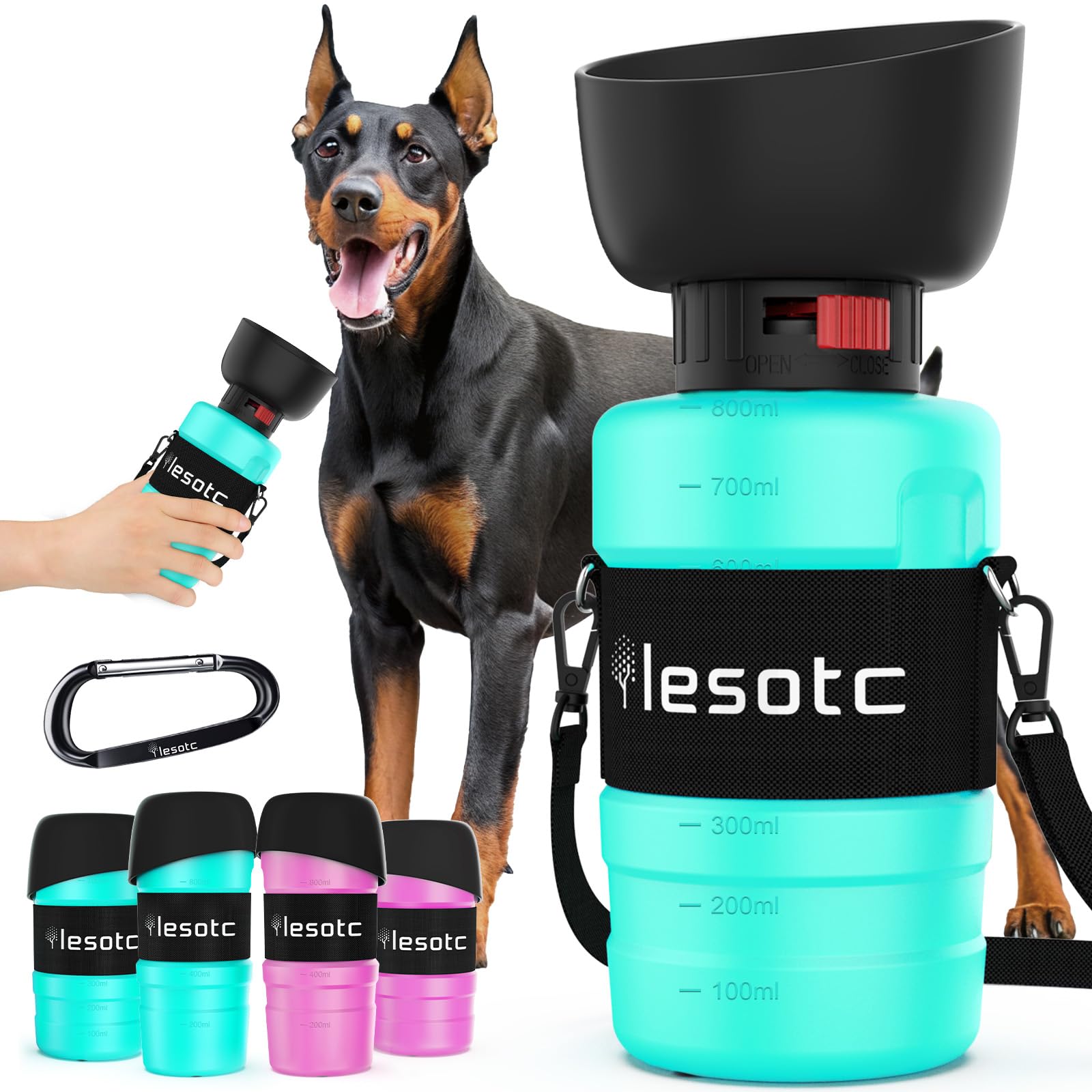 Lesotc bouteille eau chien cap 800 ml, parfaite pour balades longues et voyages