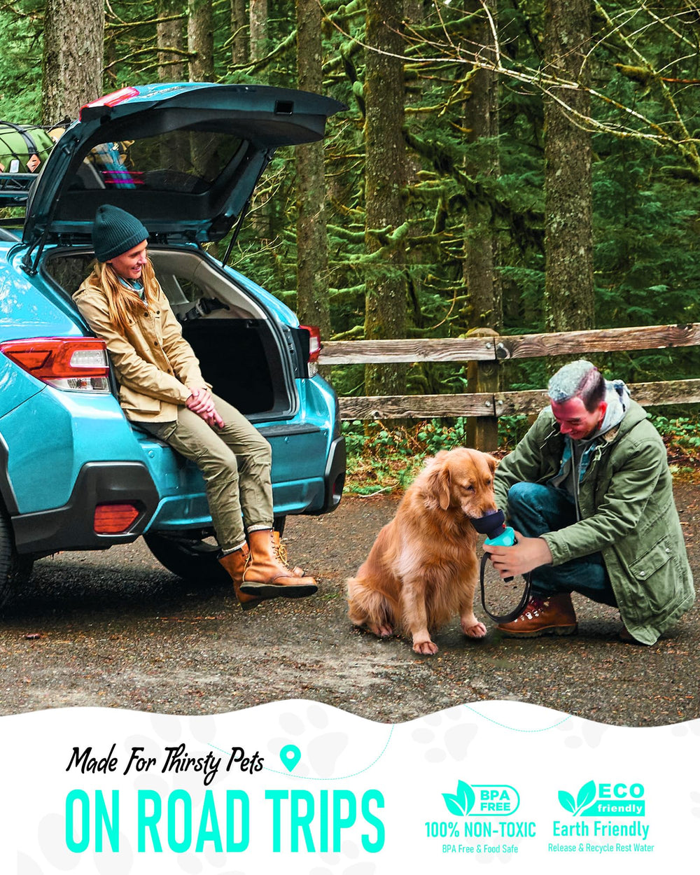 Lesotc bouteille eau chien extérieur 600ml, idéale pour camping et randos