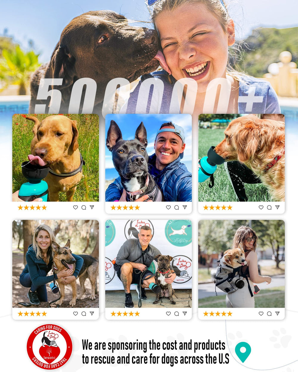 Option eau glacée ou chaude pour chien en déplacement.