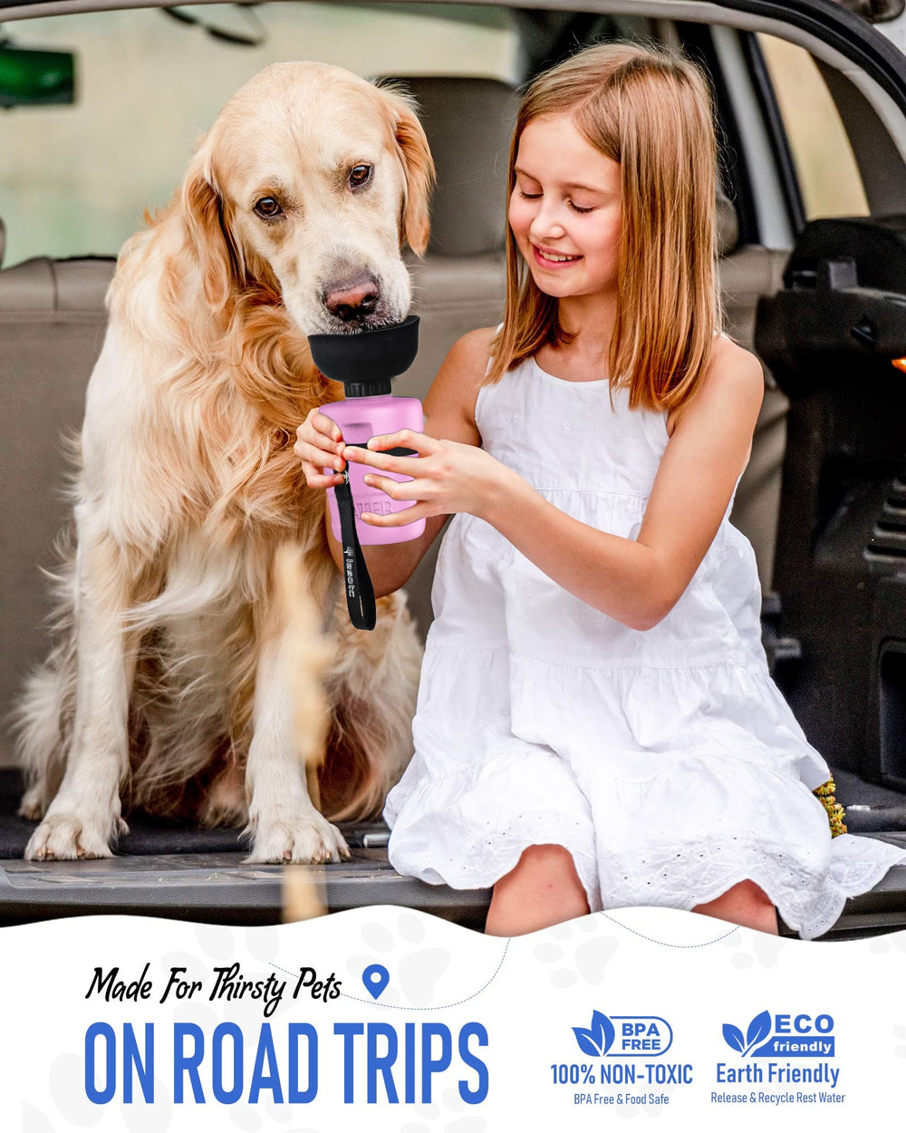 Lesotc matière sans BPA, sécurité alimentaire pour votre chien.