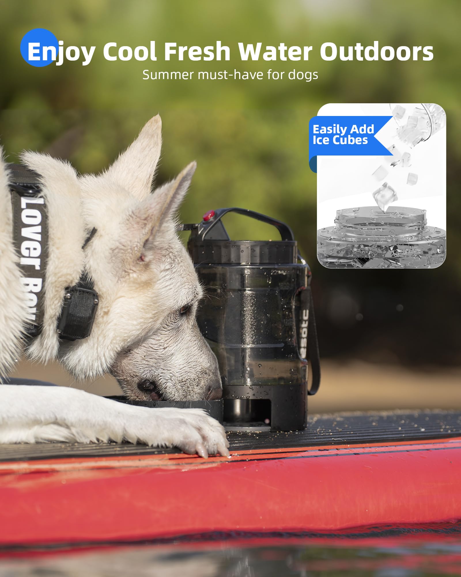 Lesotc bouteille eau voyage chien anse-etanche transporte facilement lors des sorties.
