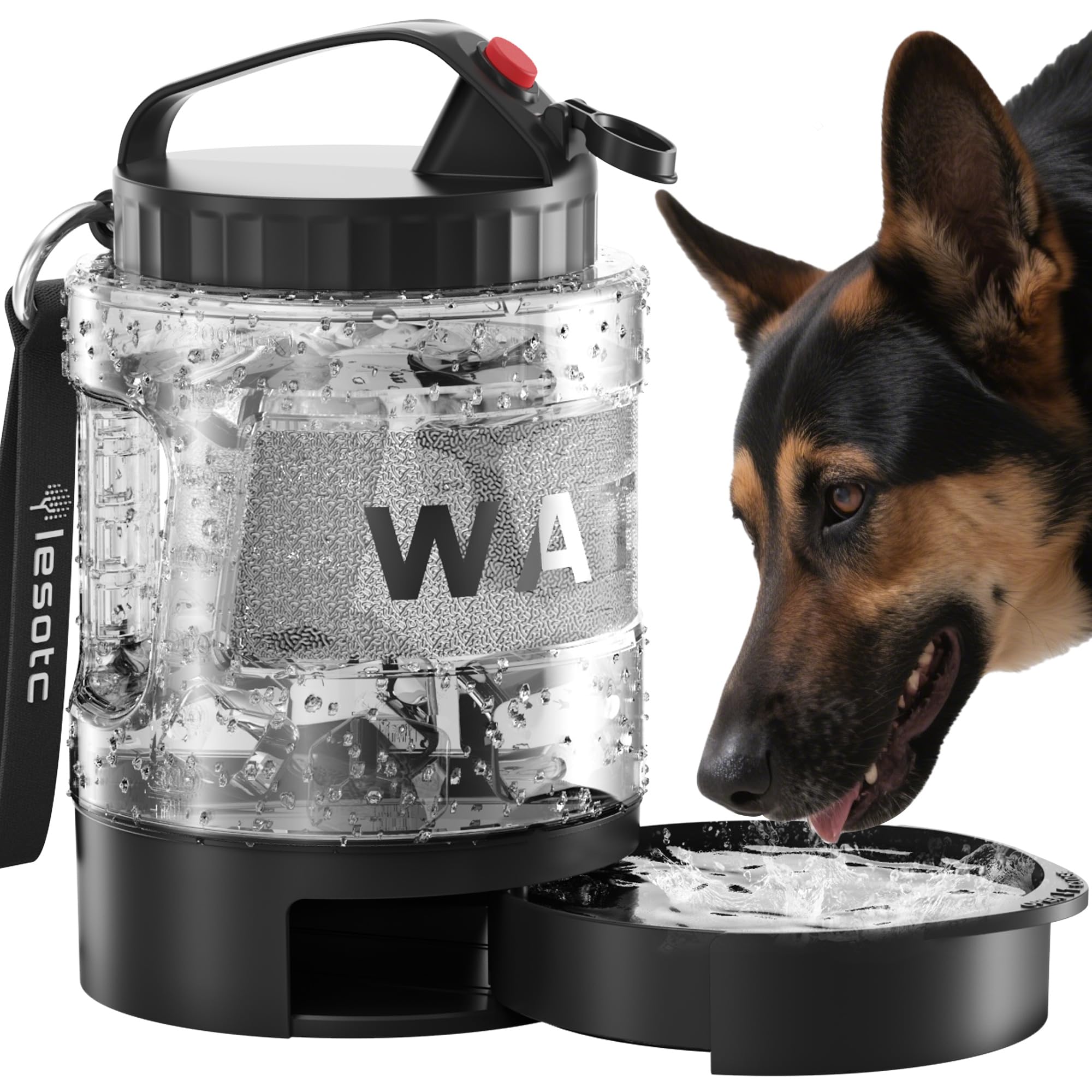 Lesotc bouteille eau voyage chien bol-sortant facilite l'hydratation en plein air.