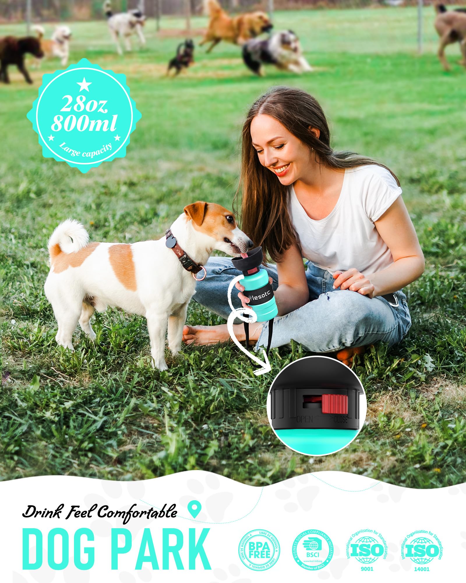 Distributeur eau chien anti-fuite Lesotc pour voyages sans gâchis