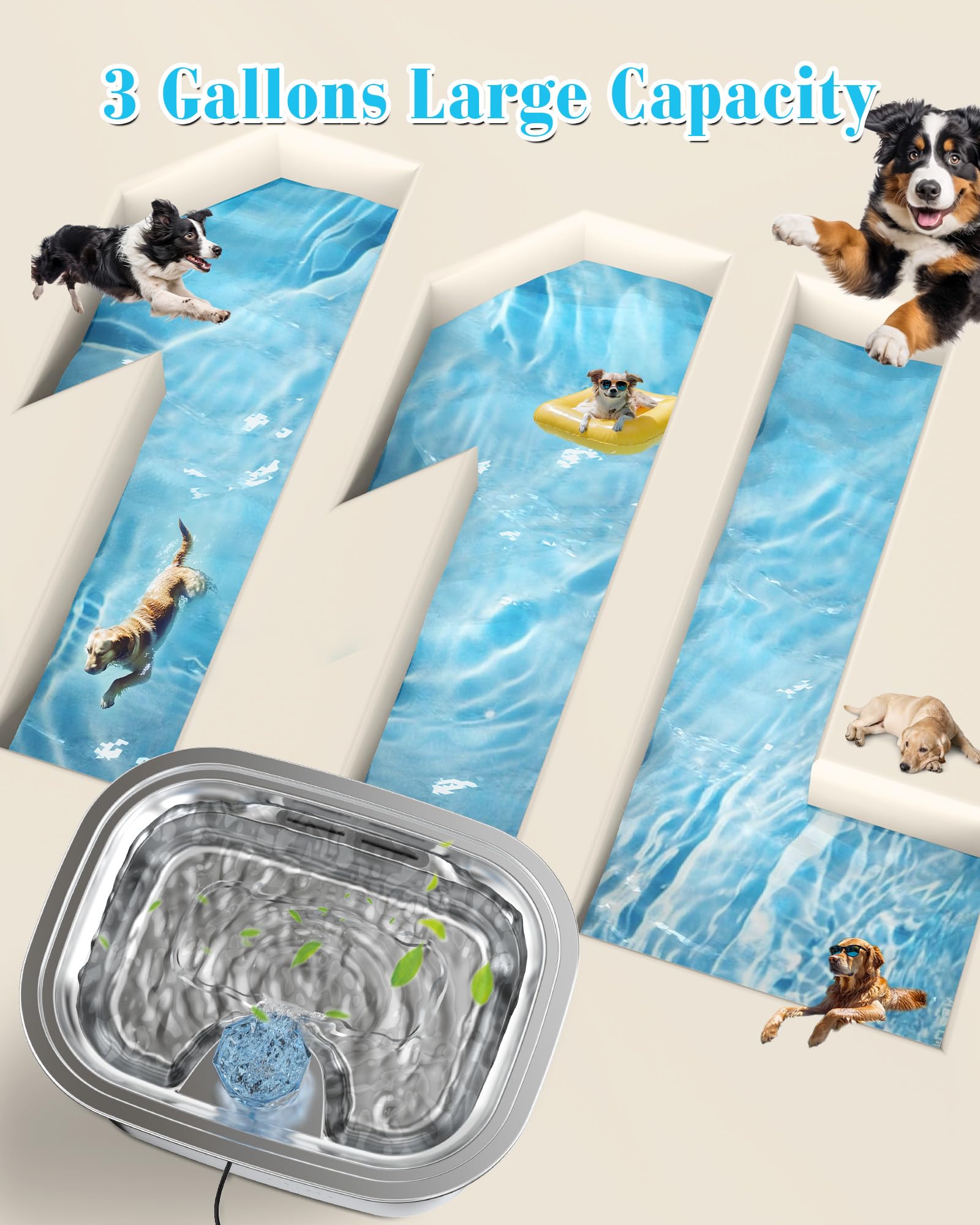 Vue niveau d'eau clair sur la fontaine Lesotc pour chien.