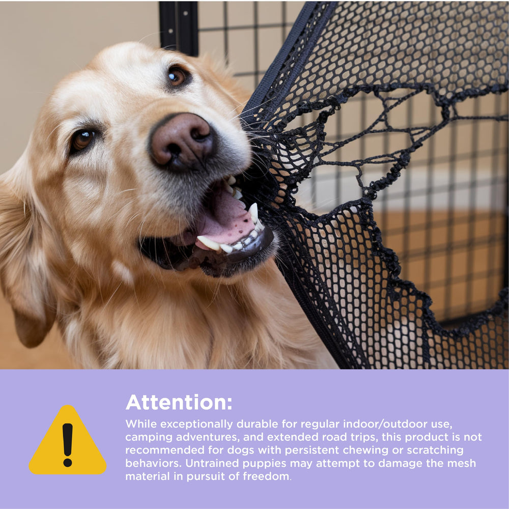Cage LE SURE pour chien pliable avec fenêtres maillées et vue claire.