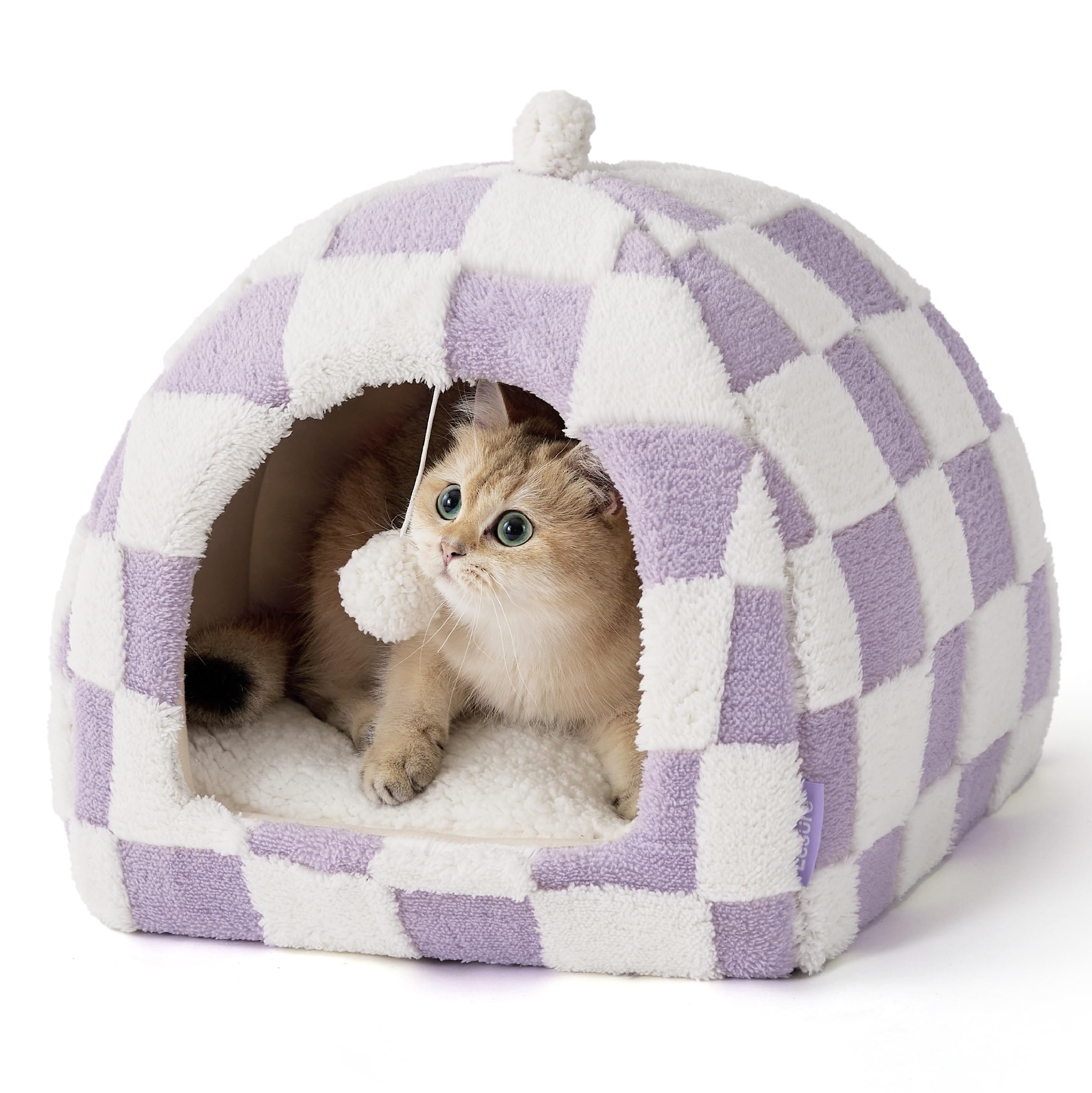 La caverne LE SURE en violet, 16 pouces, le refuge idéal pour le chaton.