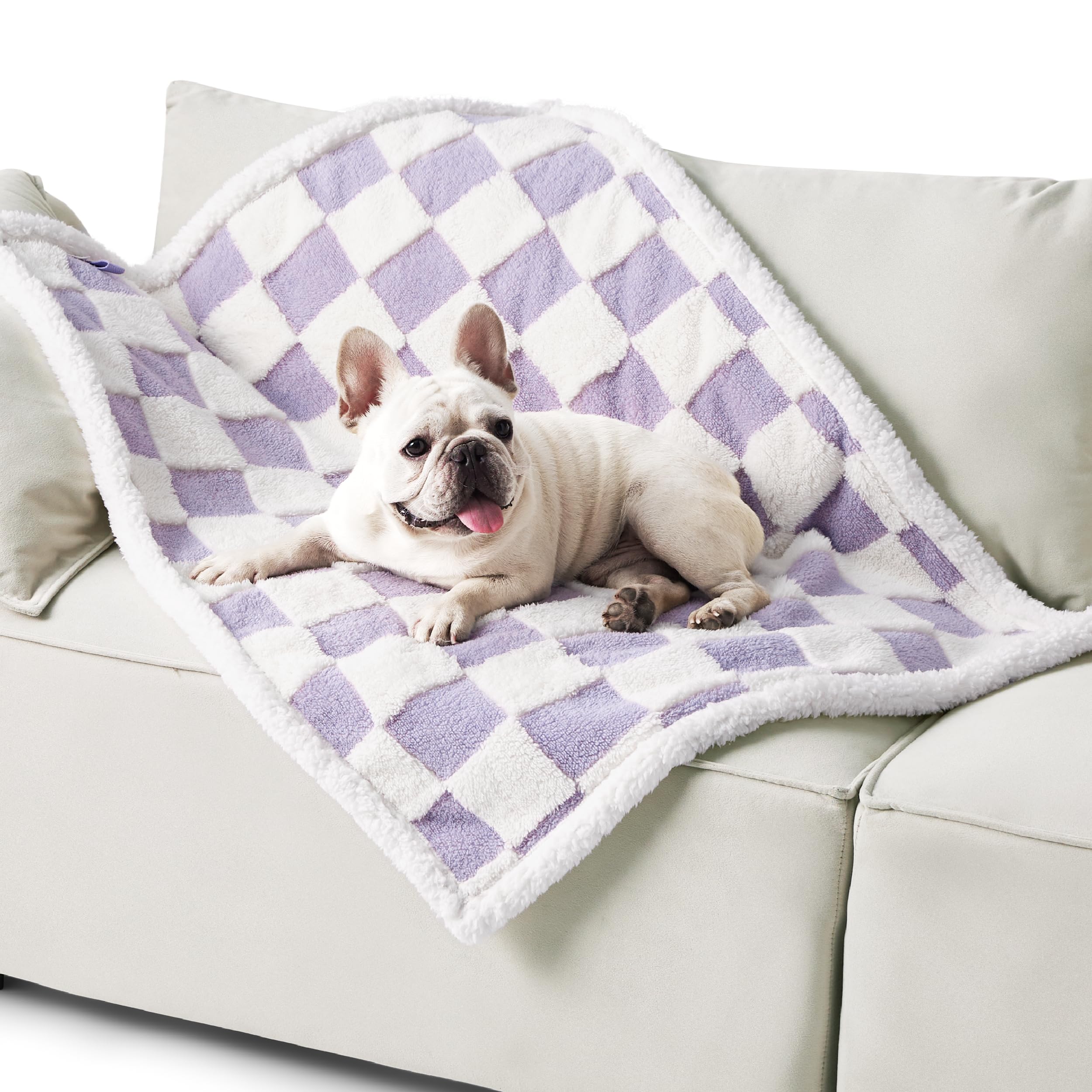 LE SURE couverture imperméable pour chien moyen violet face-double protège canapé et meubles.
