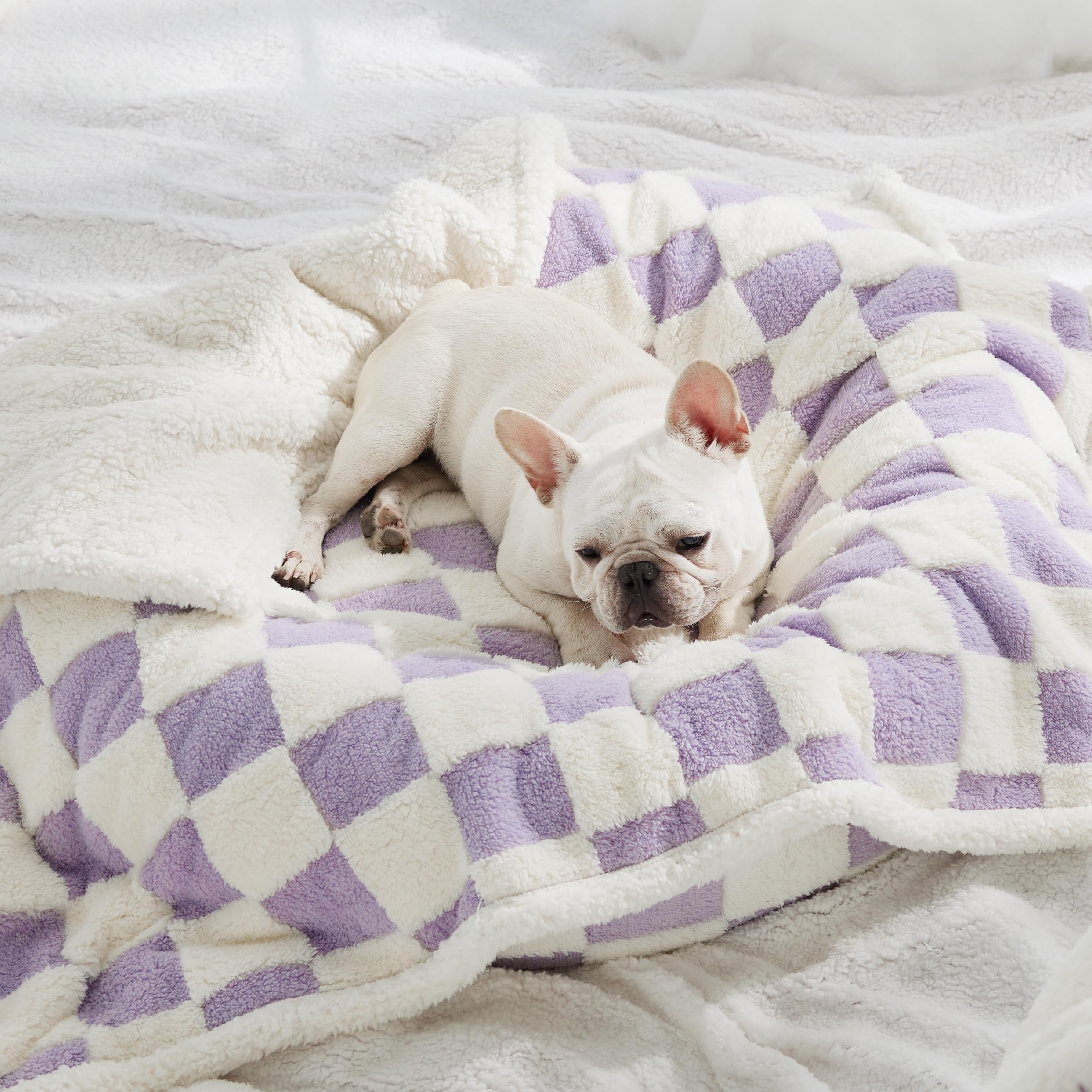 LE SURE couverture imperméable chien moyen violet housse canapé style facile a integrer.