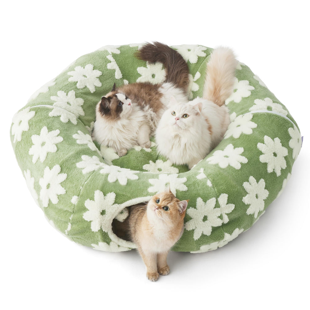 Lesure tunnel-chat nid-rond-confortable, parfait pour se reposer et se blottir.