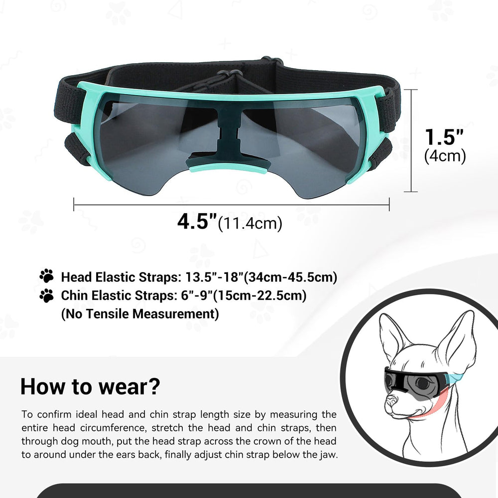 Lesypet lunettes chien bleu parfaites pour balades et activités en plein air.