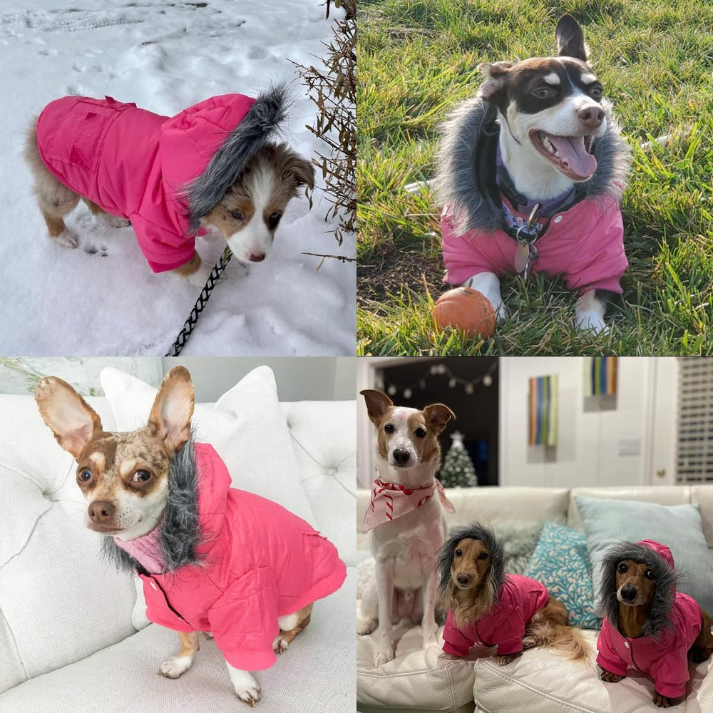 LESYPET manteau-petit-elastic-manches : manches élastiques améliorent chaleur et coupe-vent.