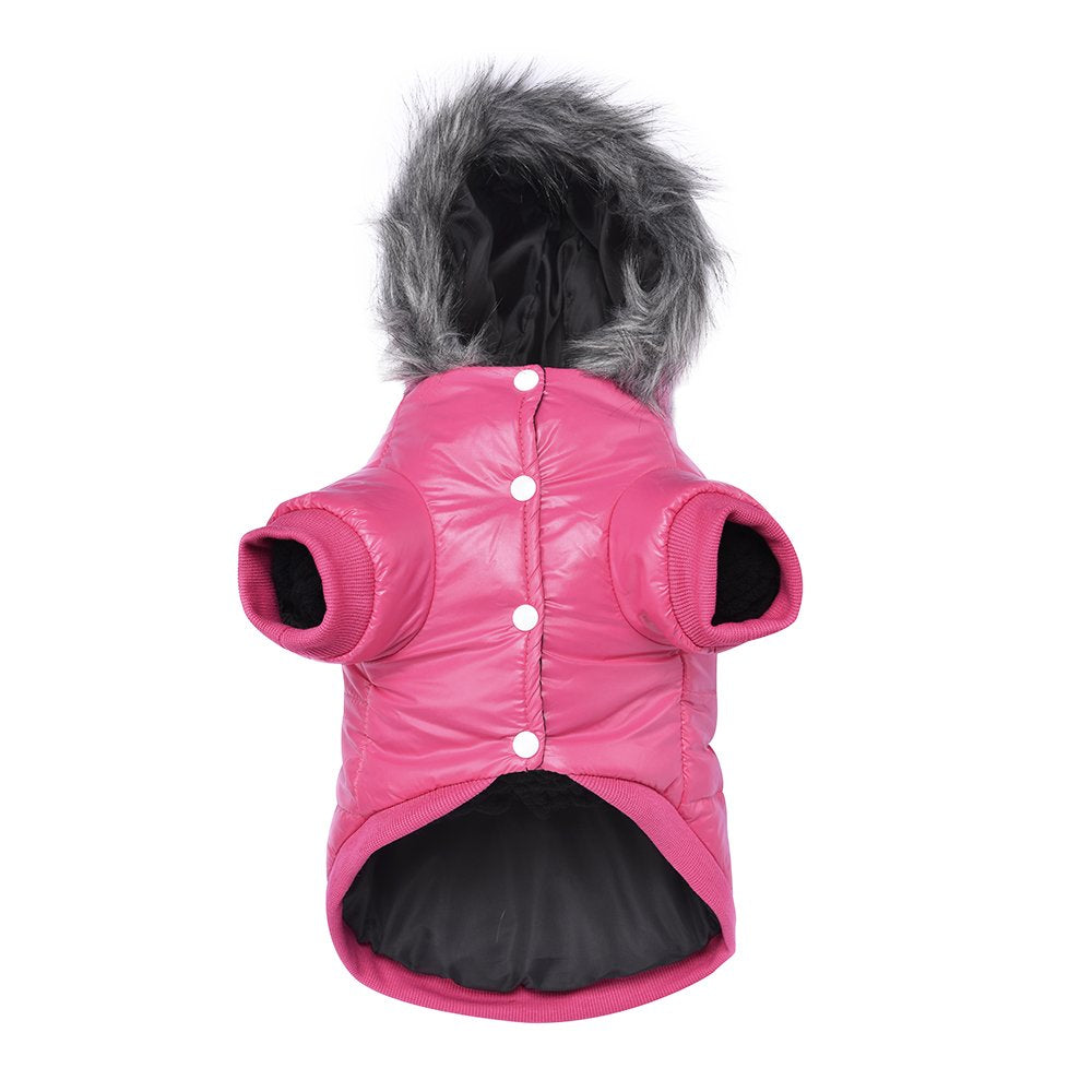 LESYPET manteau-petit-rose-imperméable : garde le chien au sec lors des promenades.
