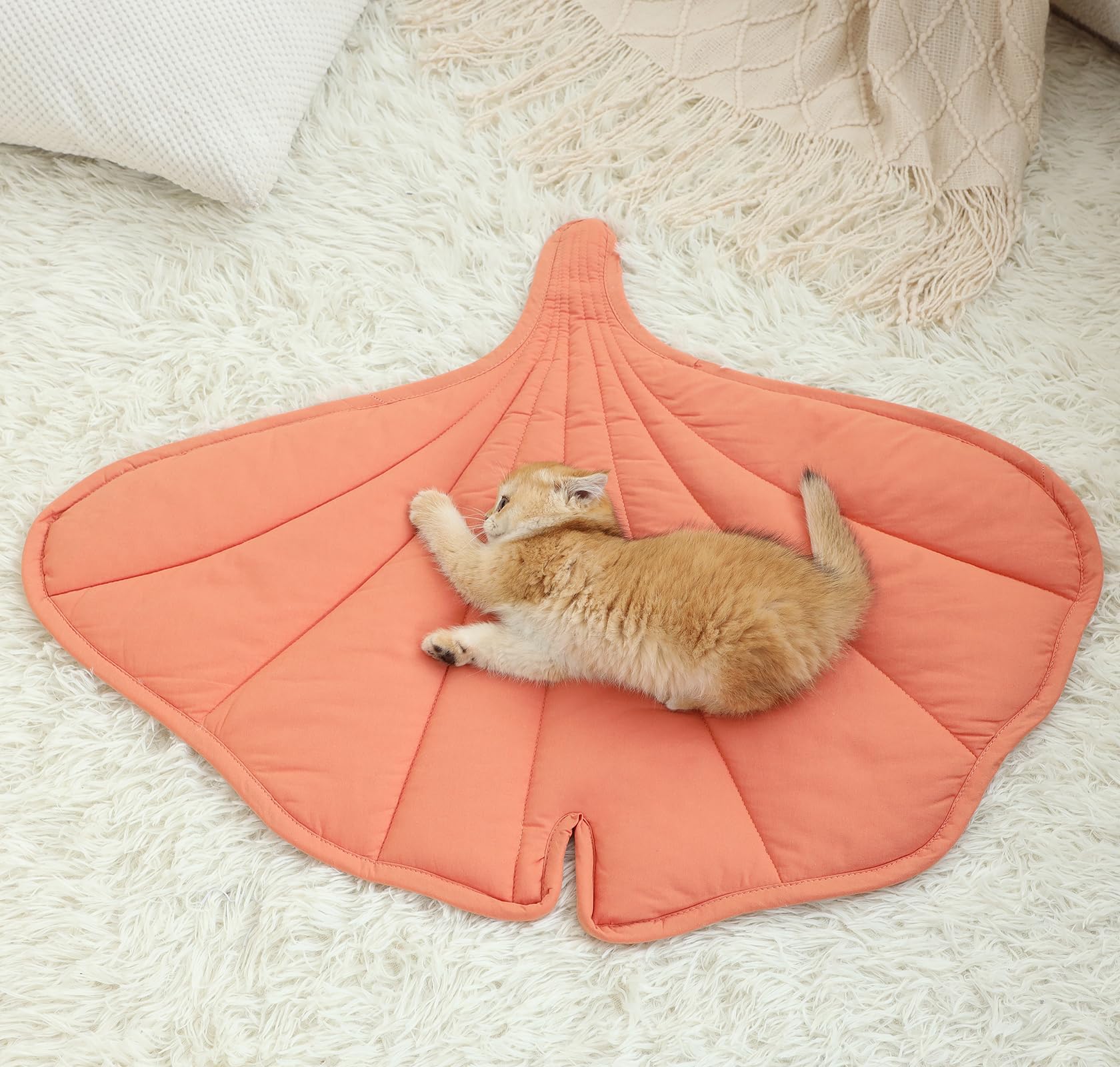 Letalong – couture durable, tapis pour chat résistant au lavage