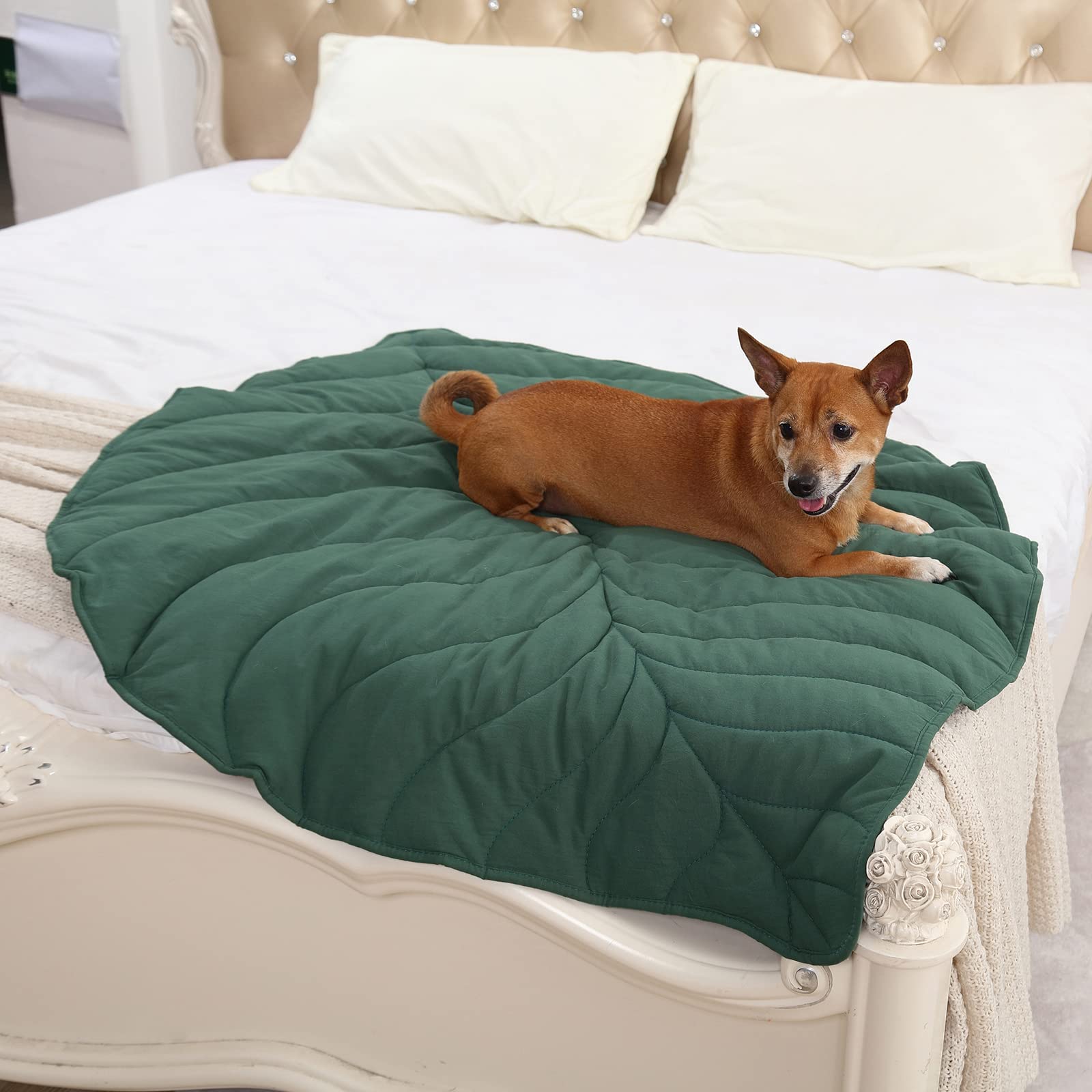 Letalong couverture-chien-feuille utilisable comme tapis ou lit douillet.