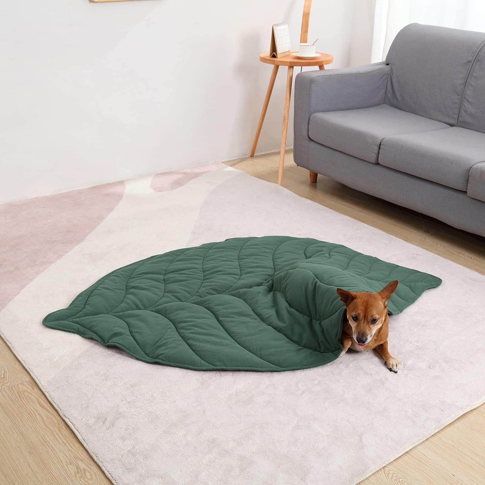 Letalong couverture-chien-feuille emballage sous vide pratique.