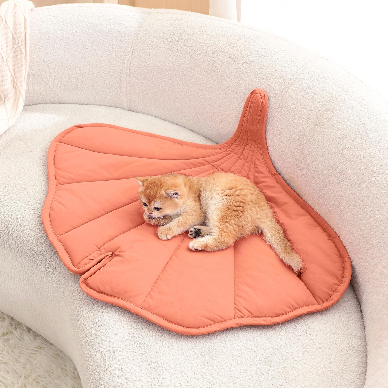 Letalong – lavage en machine, entretien facile du tapis chat
