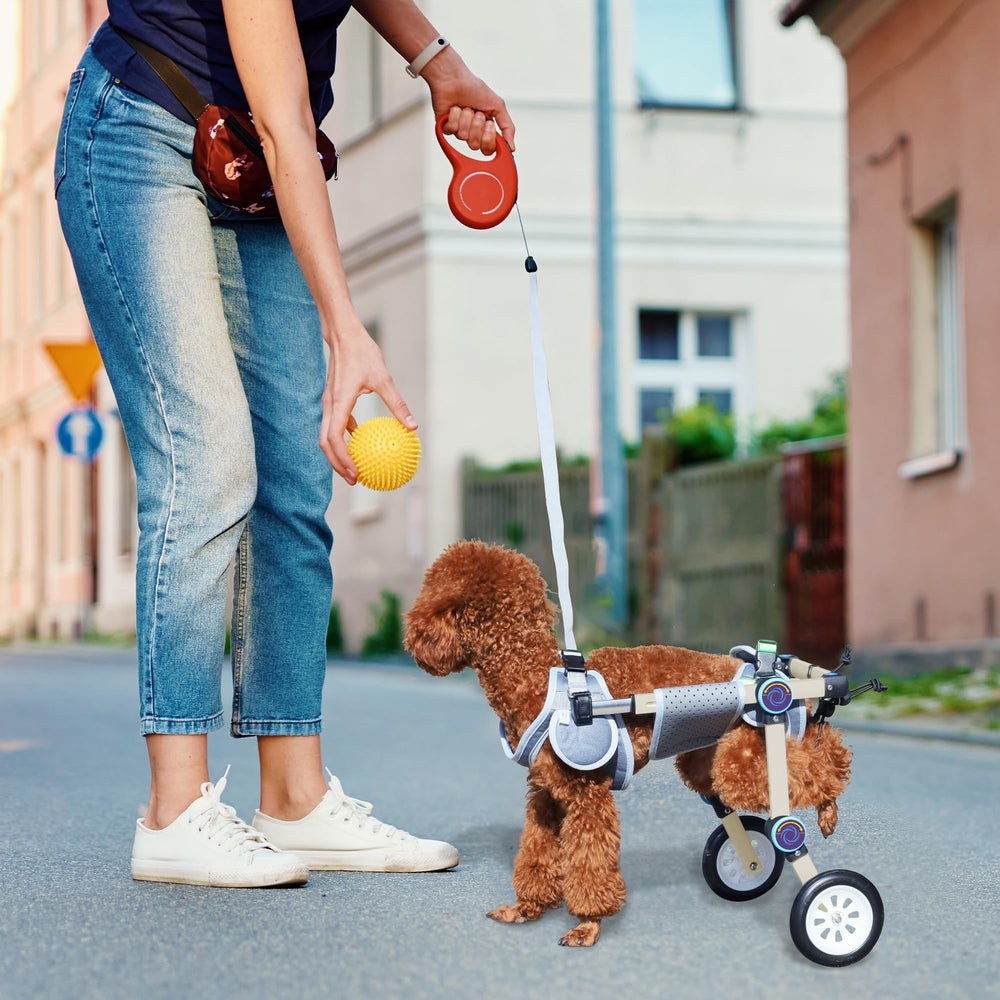 LetPetRun — chaise roulante pour chiens avec pattes arrière faibles, utilisations en promenade