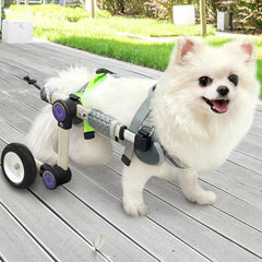 LetPetRun fauteuil-chien arrière ajustable offrant un soutien mobilité lors des sorties