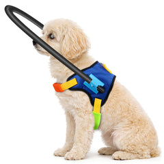 LetPetRun halo-chien-aveugle-protecteur-360 améliore la sécurité autour de la tête lors des déplacements.