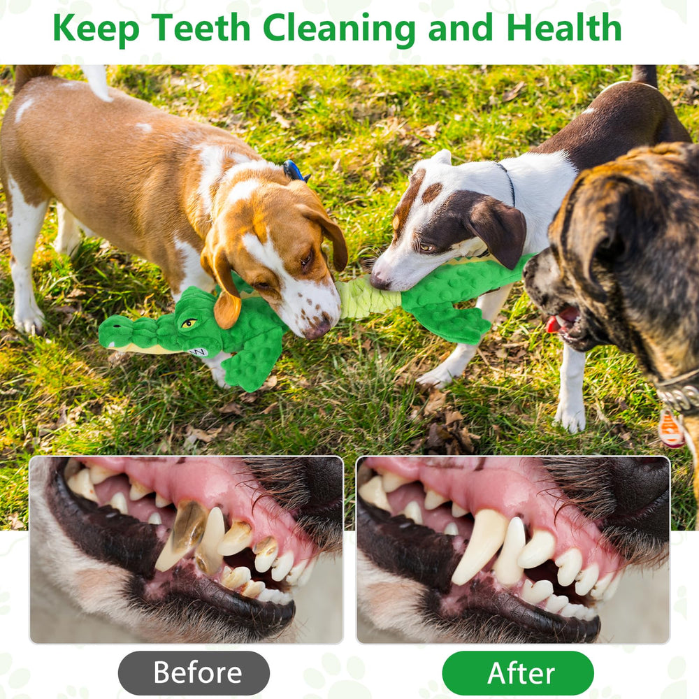 Jouet Letsmeet alligator dentition ludique, aide à l'hygiène buccale pendant le jeu.