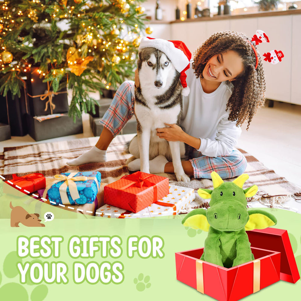 Jouet Letsmeet pour chien, jeu dent-gencives pour masse légère et entretien.