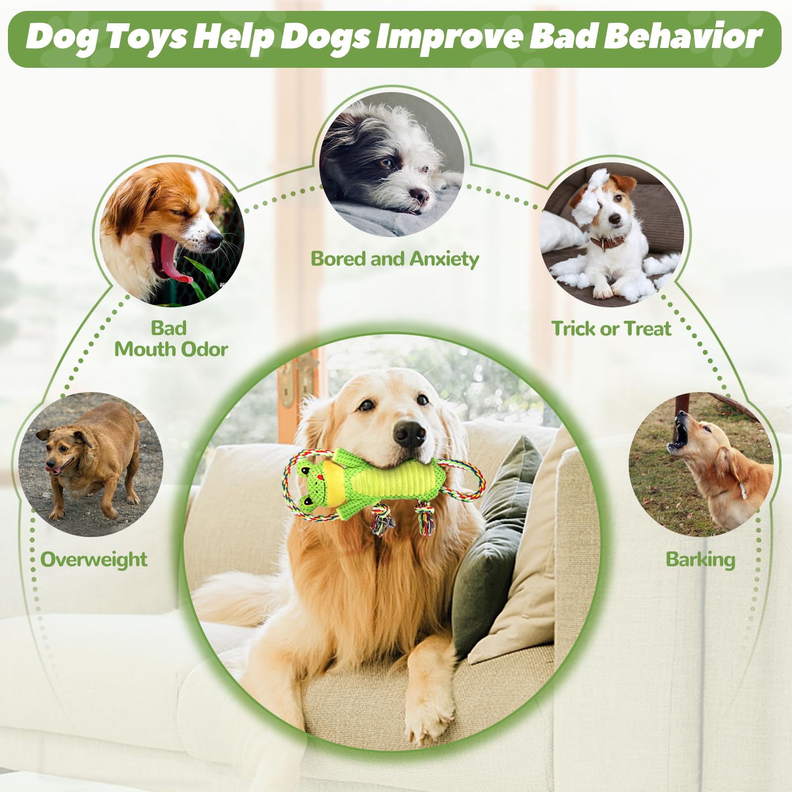 Jouet Letsmeet peluche tir corde: favorise l'exercice et le lien entre vous et votre chien