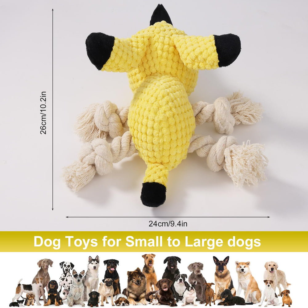 Jouet Letsmeet pour tirage et jeux collectifs, parfait pour l’amitié chien-propriétaire.