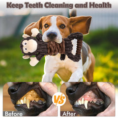 Letsmeet peluche dentaire : aide potentielle à l'hygiène bucco-dentaire.