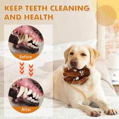 Jouet Letsmeet dentition-dentaire favorisant le nettoyage des dents pendant le jeu.