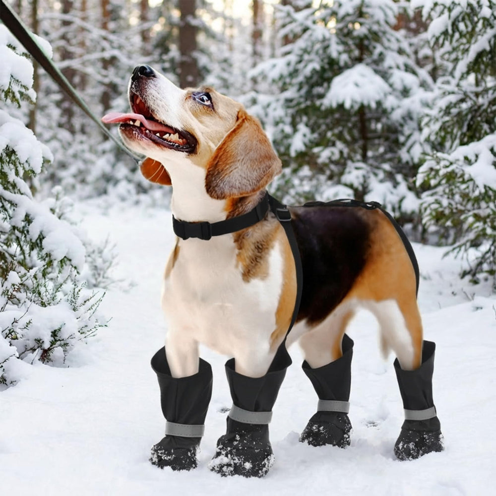 Bottes LETSQK réfléchissantes pour chien, meilleure visibilité nocturne.