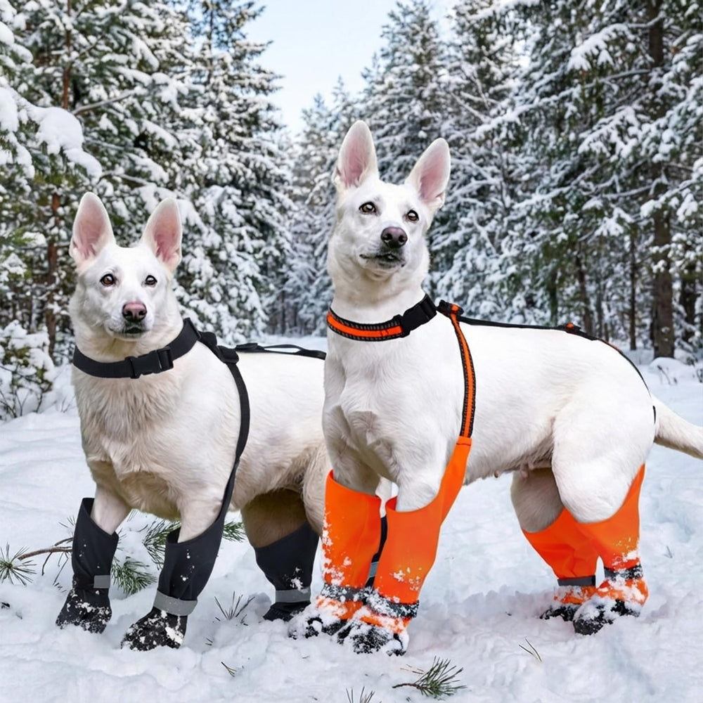 LETSQK protège les pattes des chiens contre débris et sols abrasifs.