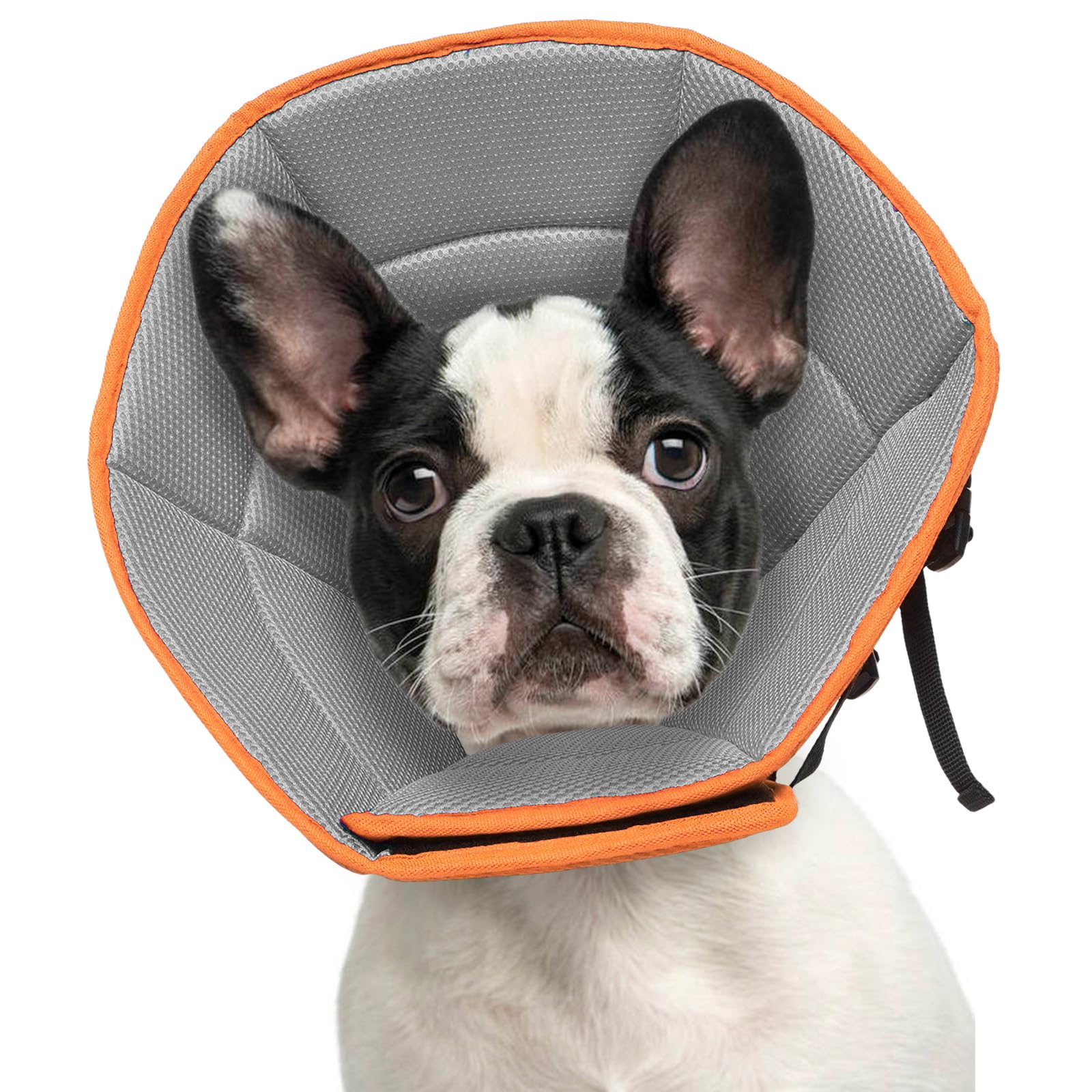LETSQK collier-cone chien souple orange, confort optimal lors de la récupération