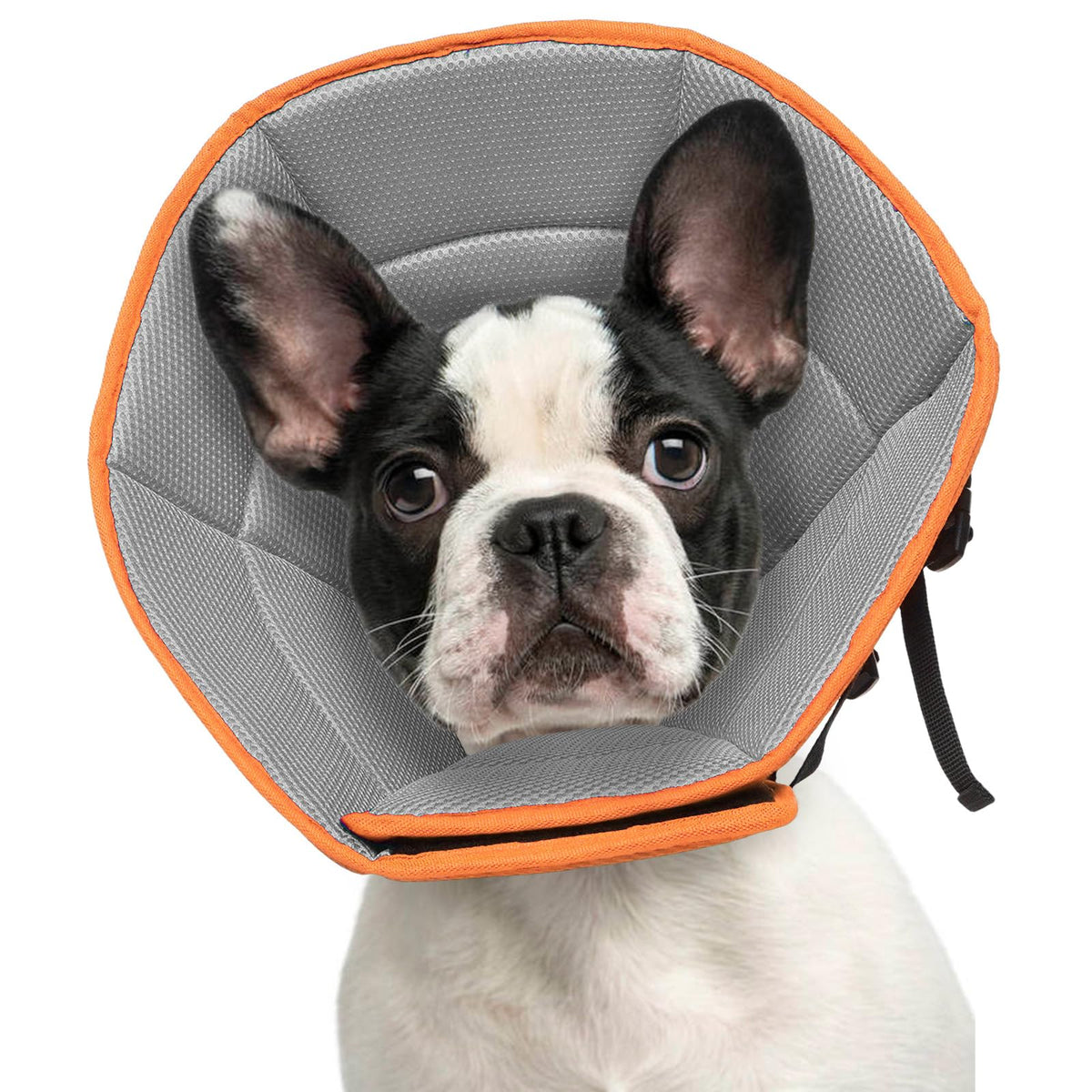 LETSQK collier-cone chien souple orange, confort optimal lors de la récupération