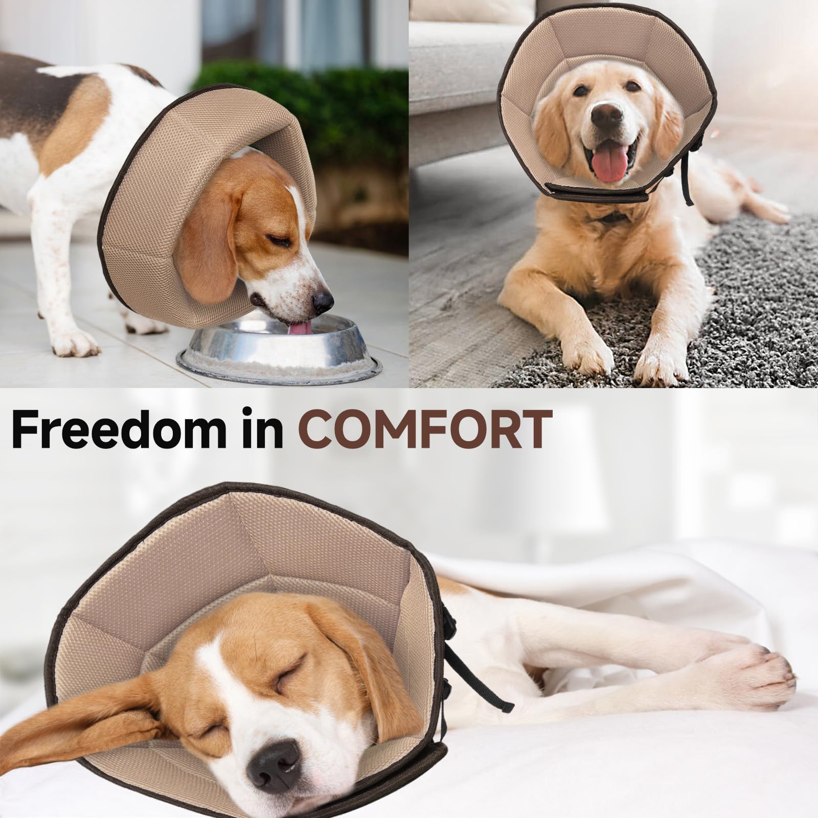 LETSQK collier conique confort et activité - chien reste mobile