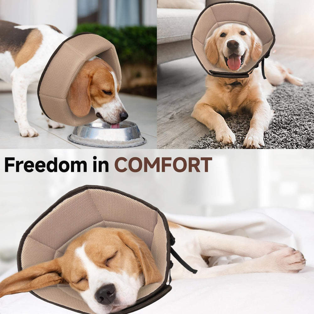 LETSQK collier conique confort et activité - chien reste mobile