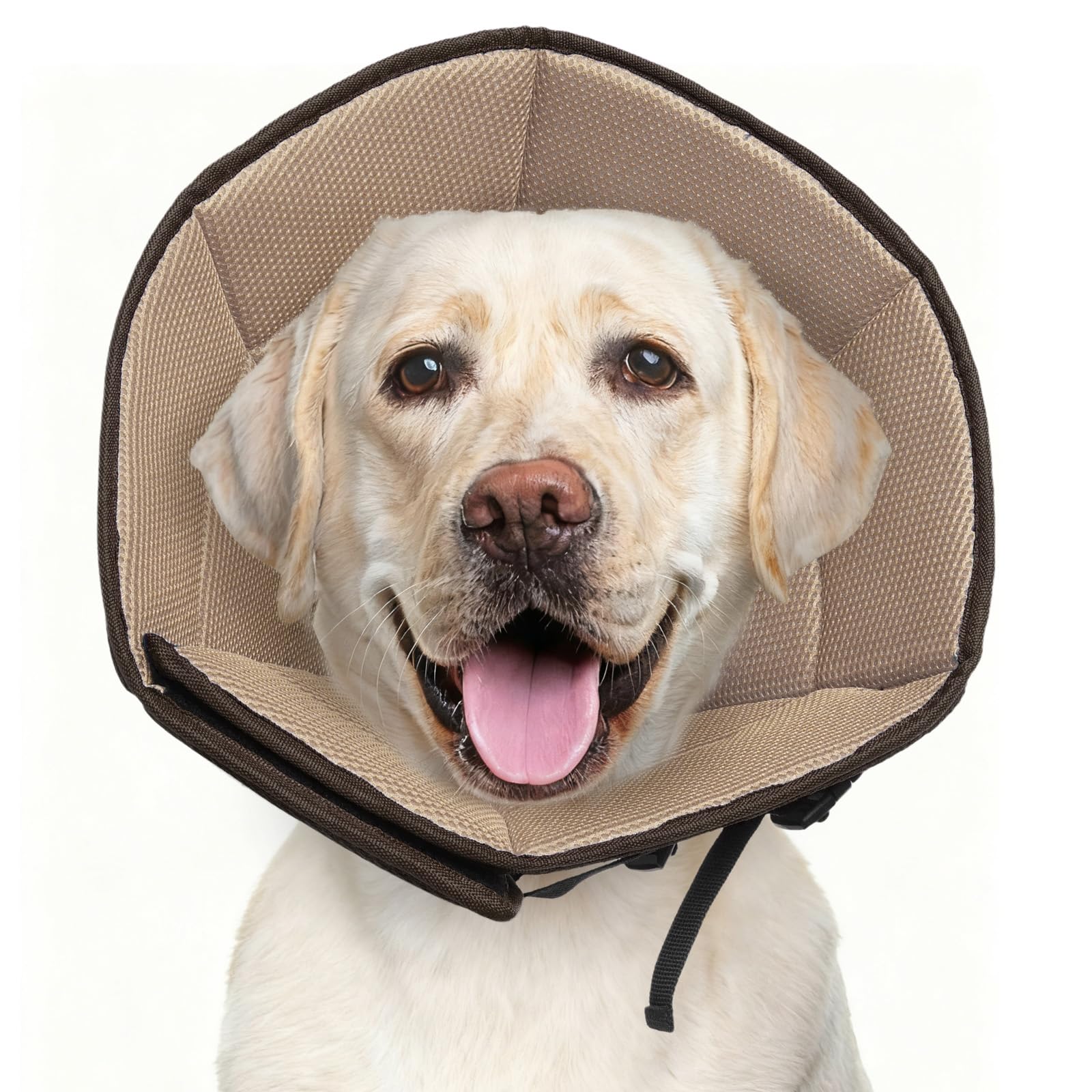 LETSQK collier conique doux chien rétablissement - confort et sécurité